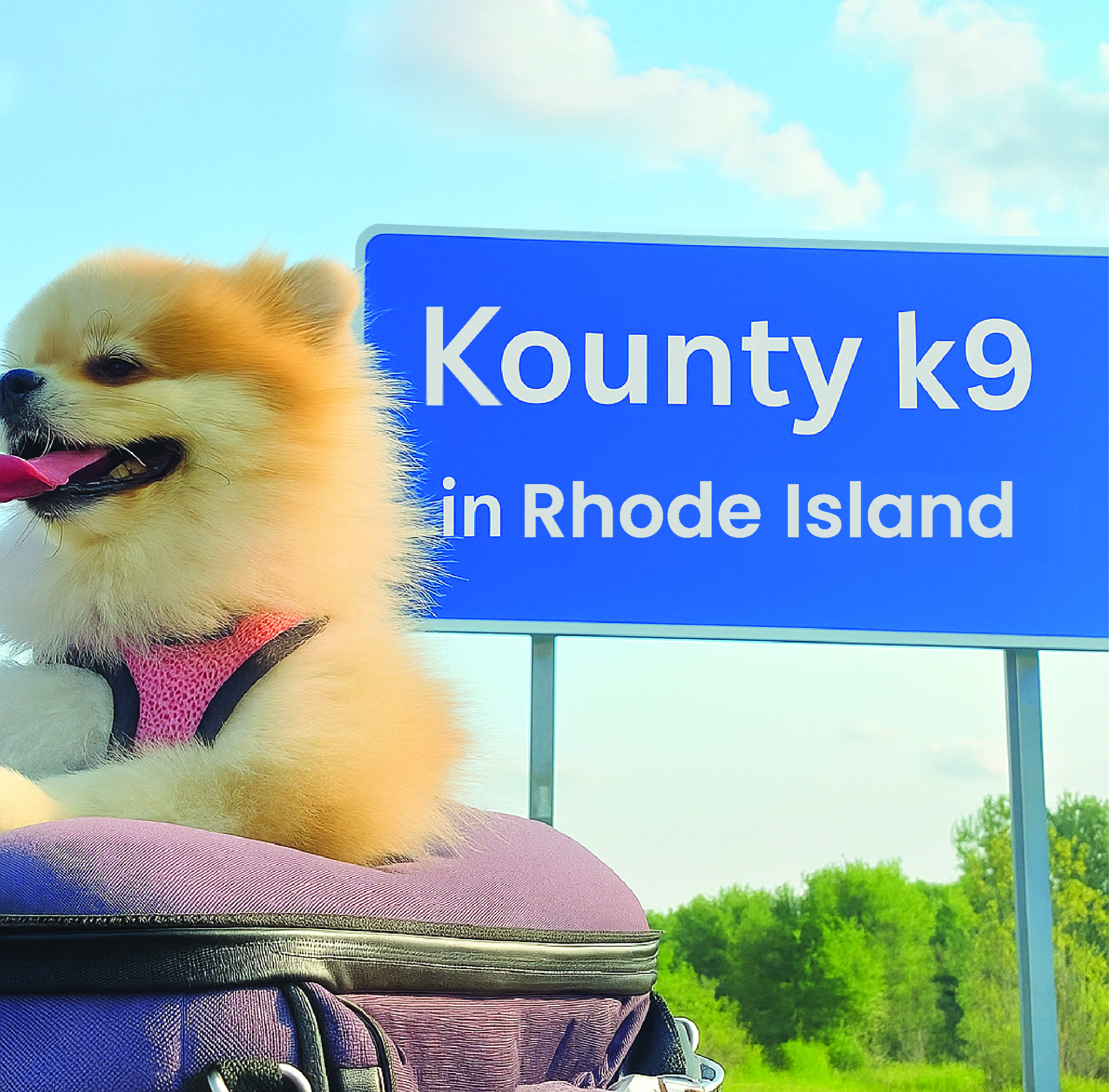 Bed Bug Detection in Rhode Island